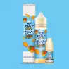 Frost & Furious - Arctic Mango super frost 60ML - Pack Vapitex Maroc